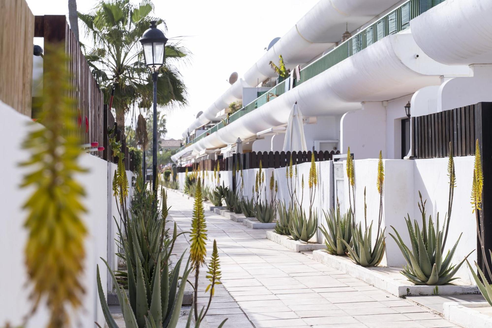 Piso Dunas Blu - Carpe Mundi Corralejo Ngoại thất bức ảnh